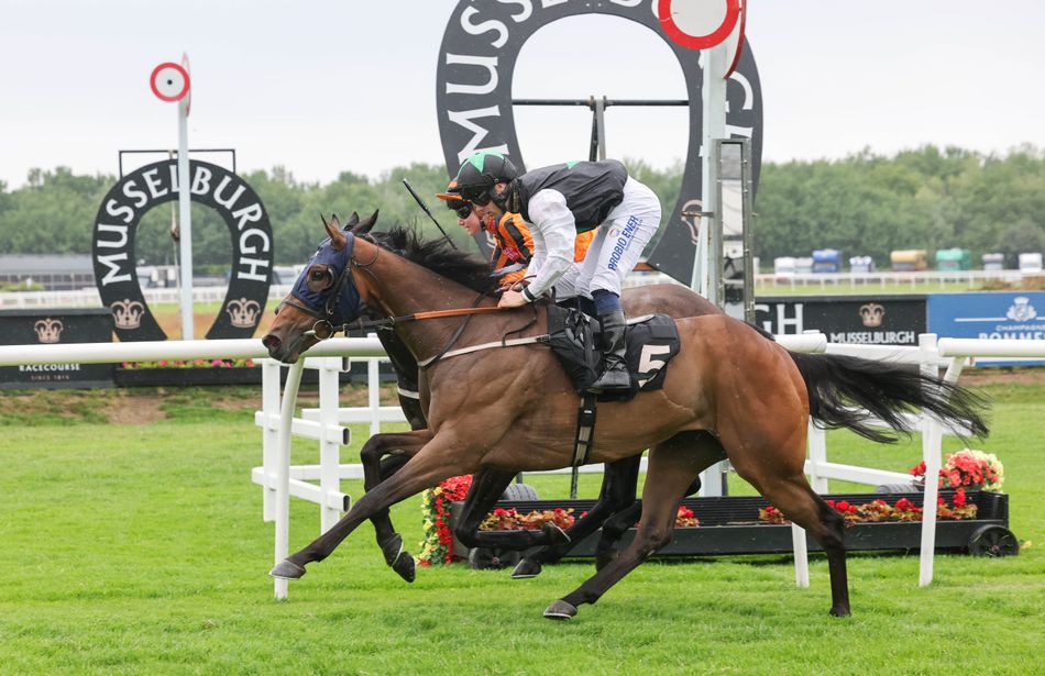 'I'd have been annoyed with myself if I'd been beaten' - Only Dream Big claims second win in three days with last-gasp success