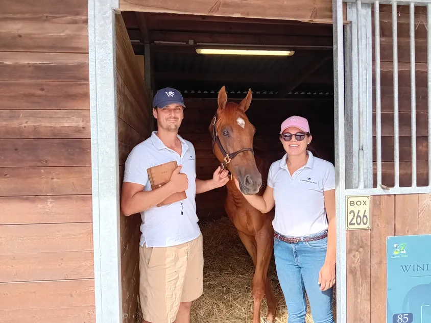 Powerhouse partnership giving vitality for Osarus ahead of keynote yearling sale