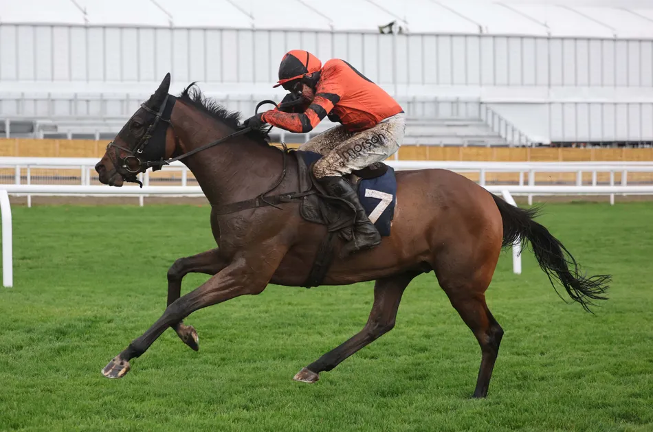 Dan Skelton weaves his magic as £7,000 buy Here Comes Georgie wins £100,000 race on stable debut