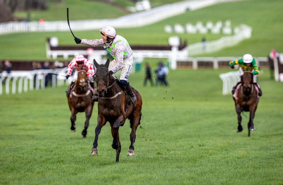 'Willie made him in his novice hurdle season' - Joe Chambers says ...
