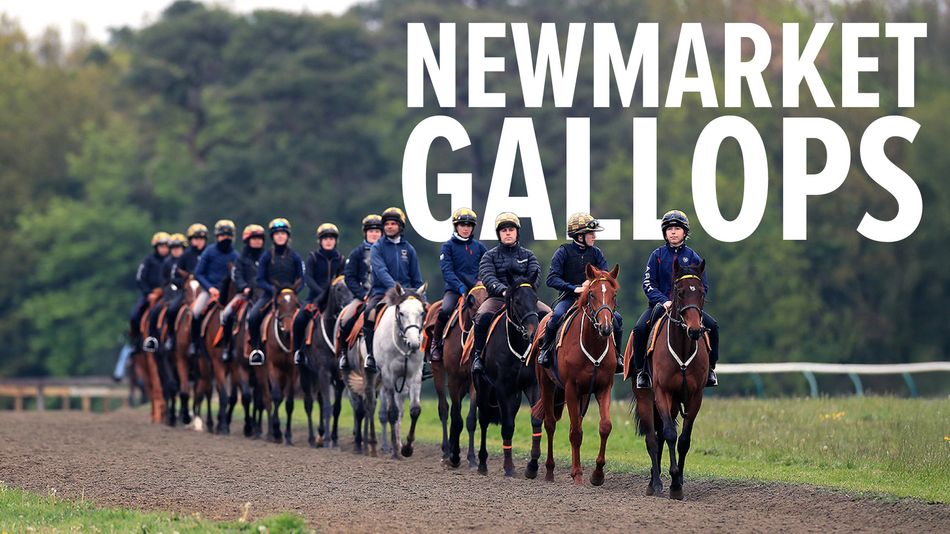 WATCH: Ombudsman steps up his preparations - plus an unbeaten filly ...