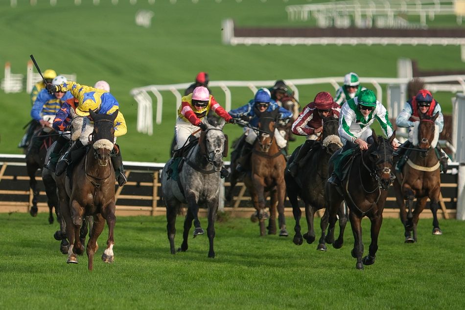 Struggling to name your racehorse? We might just have the answer ...