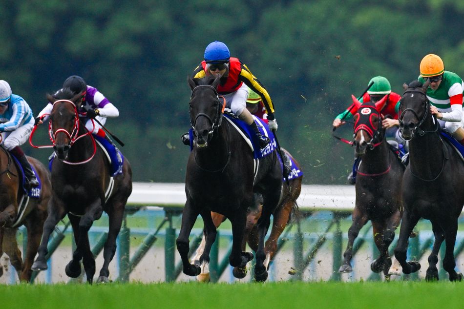 Another Arc bid on the table as Croix Du Nord leads a dramatic one