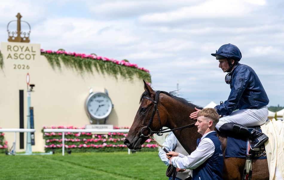 'She was a fair handful alright' – Lillie Langtry's breeder looks back as her tail-female line is victorious yet again