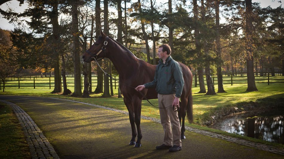 ‘I don’t know if it’s more important that she wins the Oaks or becomes the granddam of the Derby winner’ - Sea The Stars filly brings €600,000 in Baden Baden