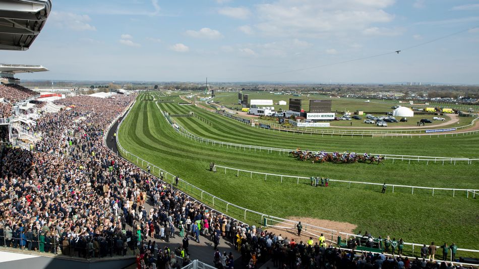 Aintree expresses concern over quick ground on Mildmay course and