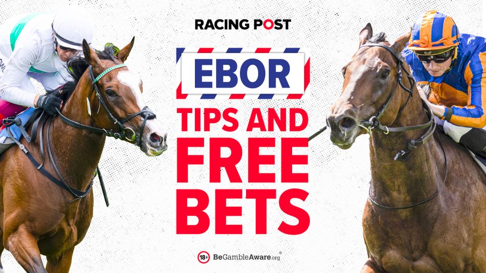 ebor-handicap-runners-riders-45-free-ebor-festival-bet-racing-post