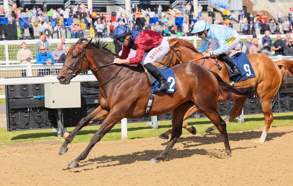 Kevin Godwin Racing 'He loves to be fresh' - Godwinson lands feature mile handicap on first ...