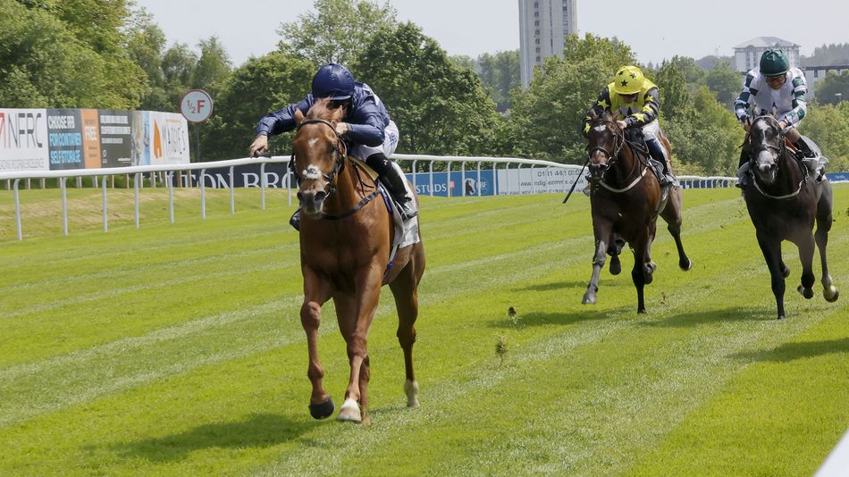 new-sire-talent-on-the-hunt-for-a-trophy-while-a-beloved-figure-is