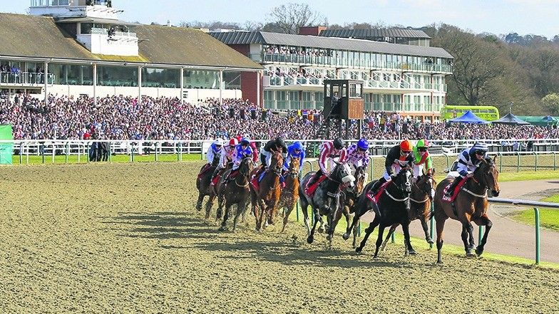 Cheltenum Races Lingfield floodlights story | Racing Post