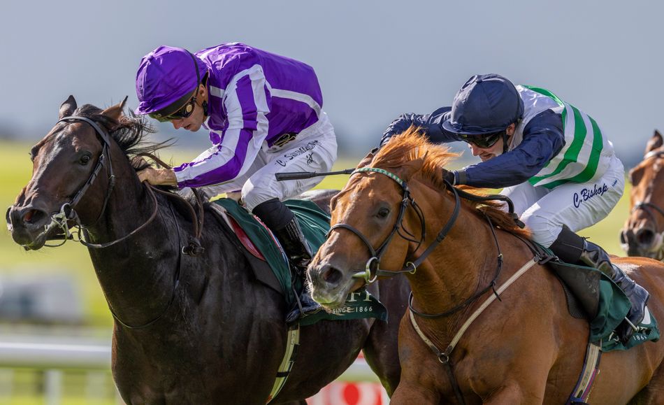 'He looks a million dollars' - Eve Johnson Houghton's Zavateri to tackle Group 1 stars in Sussex Stakes after impressive homework