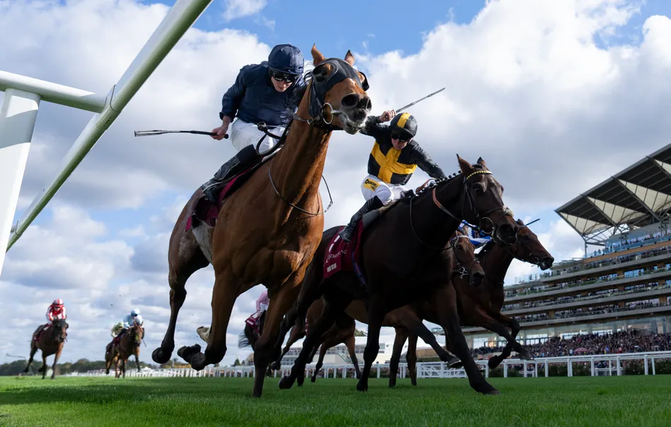 'It's so appropriate in those colours' - Mount Atlas a shock winner for title-chasing Andrew Balding in Long Distance Cup