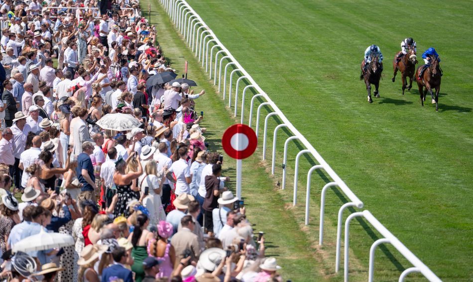 British racecourse attendance down in first half of 2026 - but average crowd rises as cancelled fixtures take toll