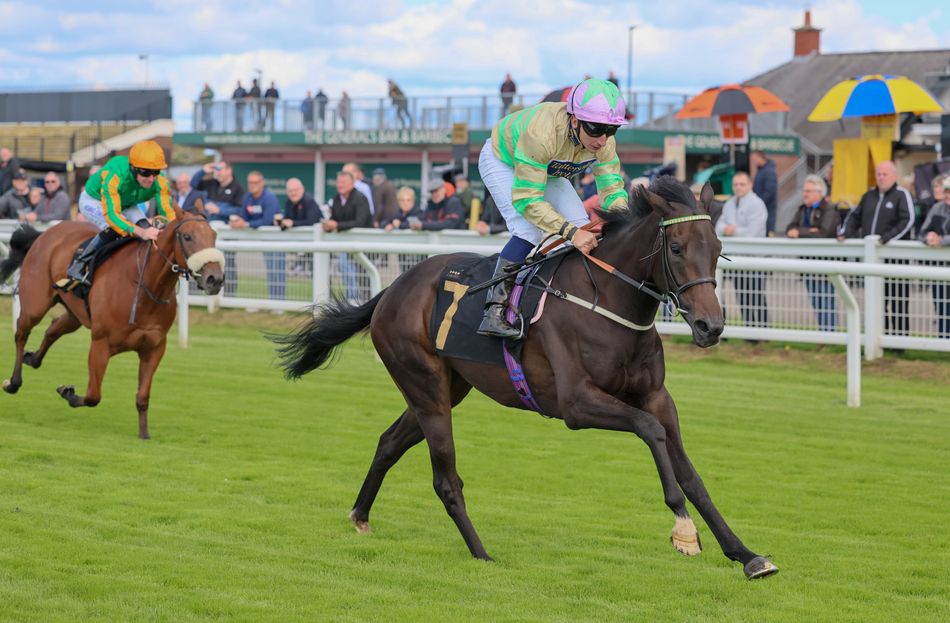 Well-supported Callisto Dream delivers on debut for PJ McDonald and Ed ...