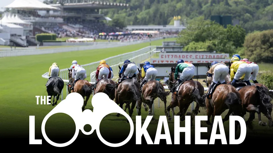 A sizzling Sussex, Galway Plate puzzle and fearsome handicaps - get set for a week that demands a day off work