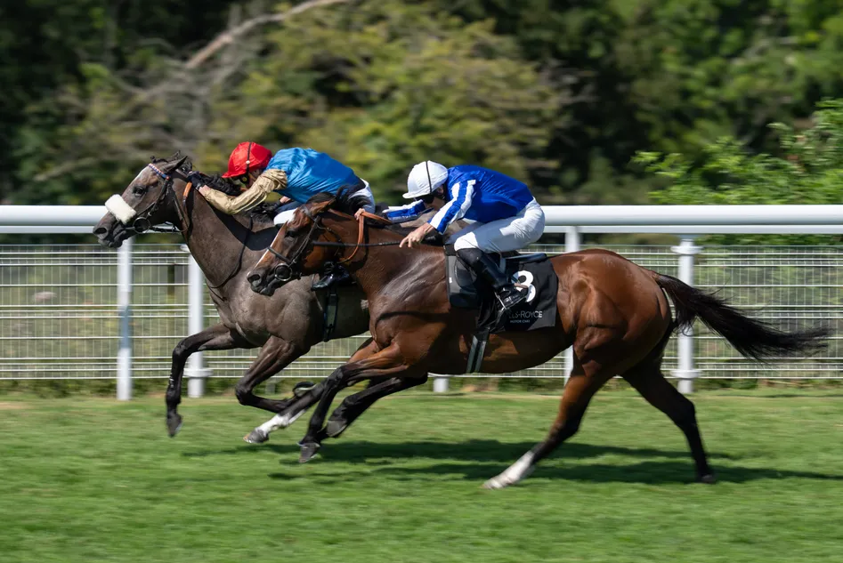 'There's what I'd call the professional foul' - why has there been a 36 per cent year-on-year rise in careless riding incidents?