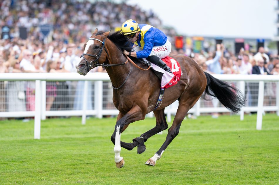 'He'll go there a fresh horse' - More Thunder heading for Jacques le Marois and a possible clash with Bow Echo