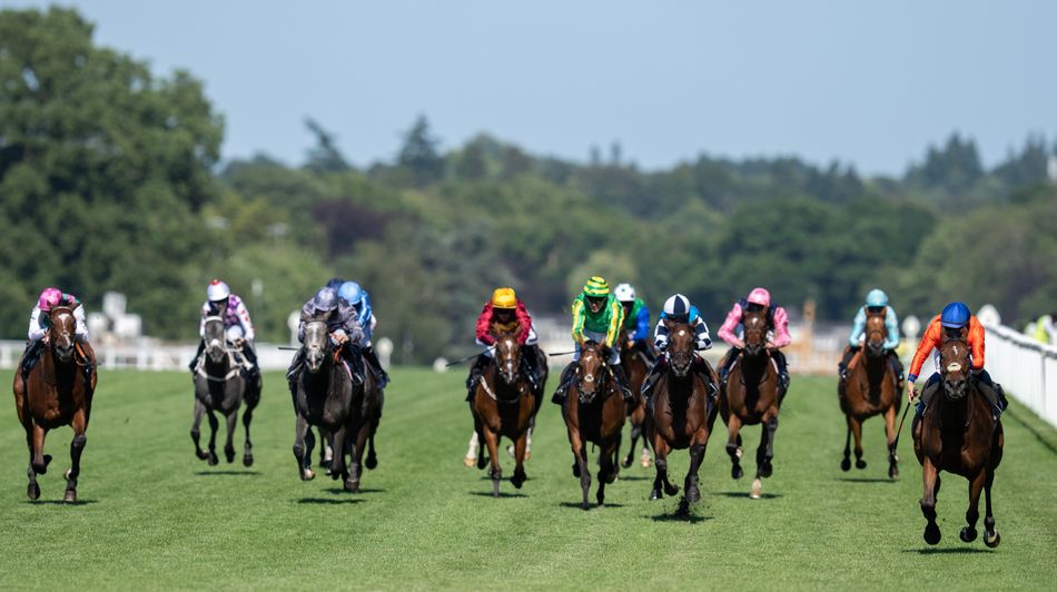 Ascot clerk says stands' side dominance has been undeniable but 'doesn't think the draw is a massive issue'