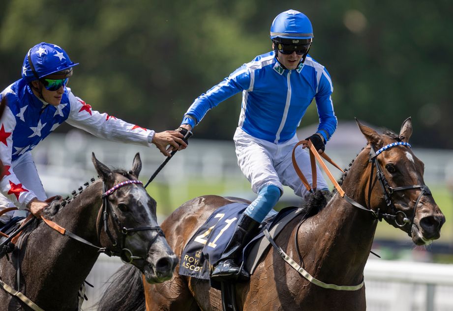 'It’s great to be back on days like this' - Clifford Lee returns to the big time on Venetian Sun in Commonwealth Cup