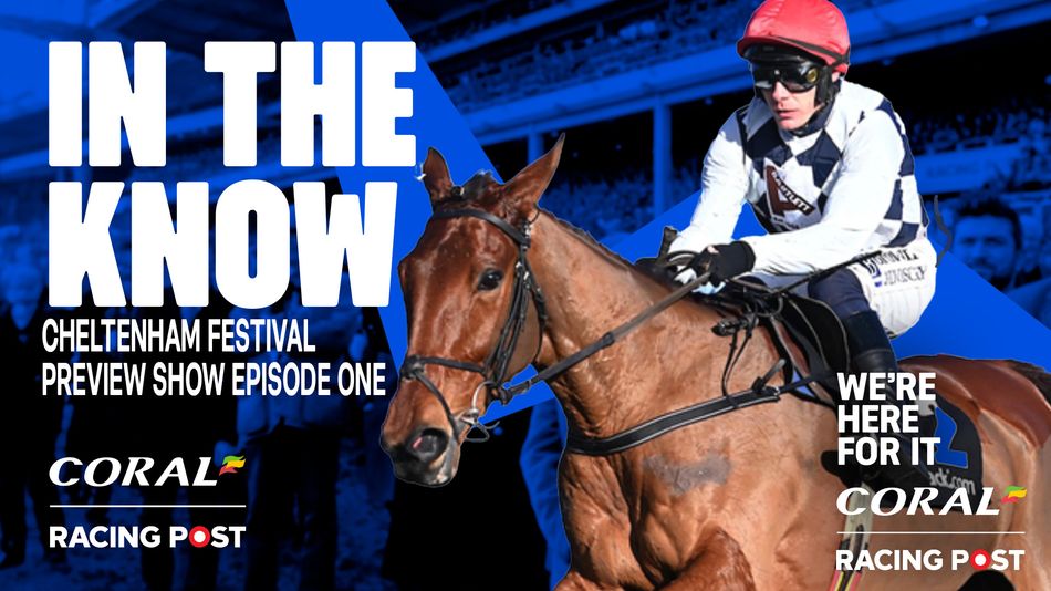 Paul Kealy and Tom Segal preview the Champion Hurdle, Supreme and Brown ...