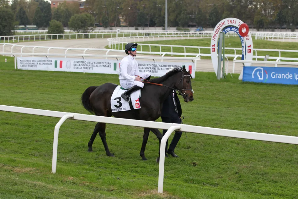 Social media gets it wrong about Constitution Hill - why on earth should such a horse be retired?