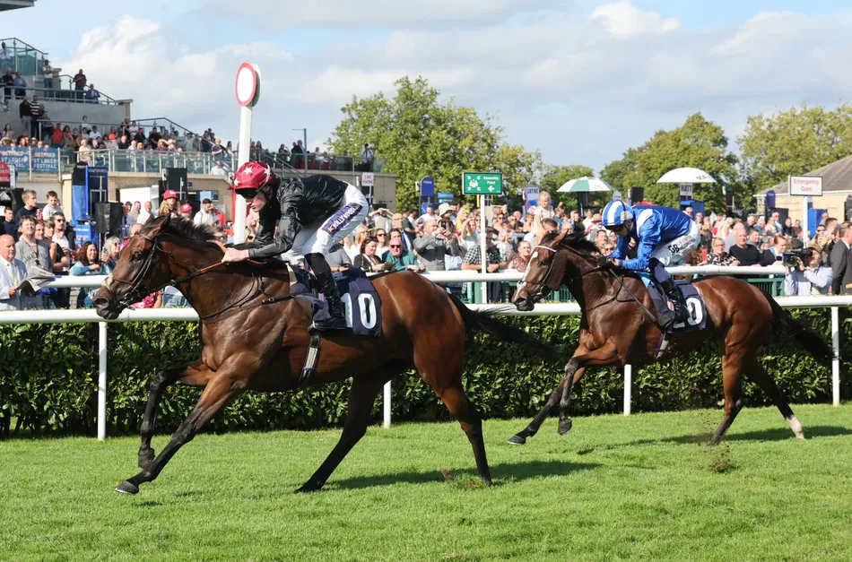 Pina Sonata lands Group 3 feature to give Tom Fanshawe extra reason to relish planned training partnership with father James