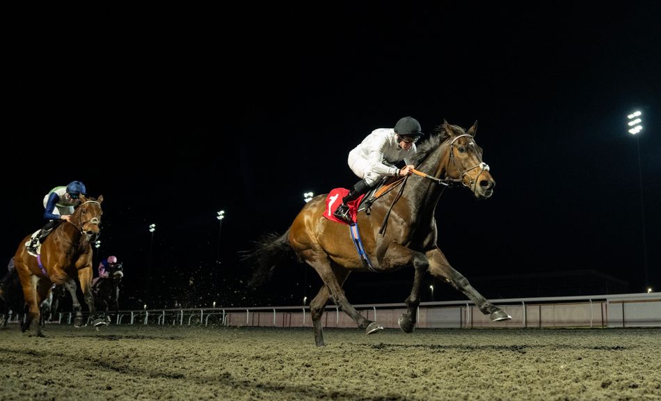 Nicky Henderson expects decision on Constitution Hill's next race soon and explains why Ebor tilt was cancelled