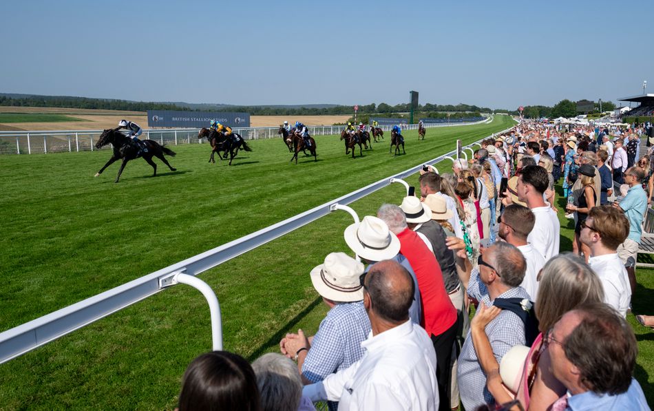 Gearing up for some duels on the Downs - how are the markets taking shape for the big races at Glorious Goodwood?