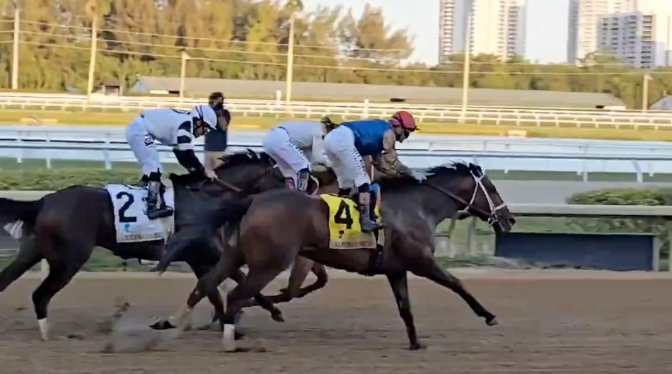 Wathnan Racing Post Wathnan Racing colt 6-1 second favourite for the Kentucky Derby after ...