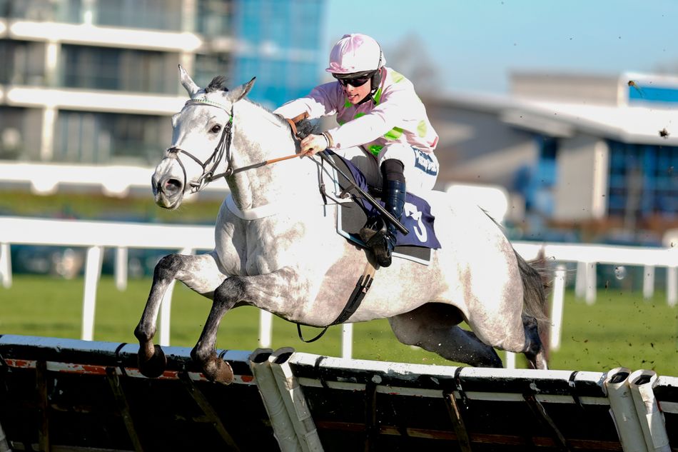 Nicky Henderson's €340,000 Supreme Novices' Hurdle contender makes ...