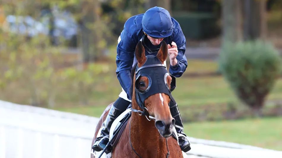'It's not normal what he did' - Queenstown toughs it out to land first Group 1 on third run in three weeks