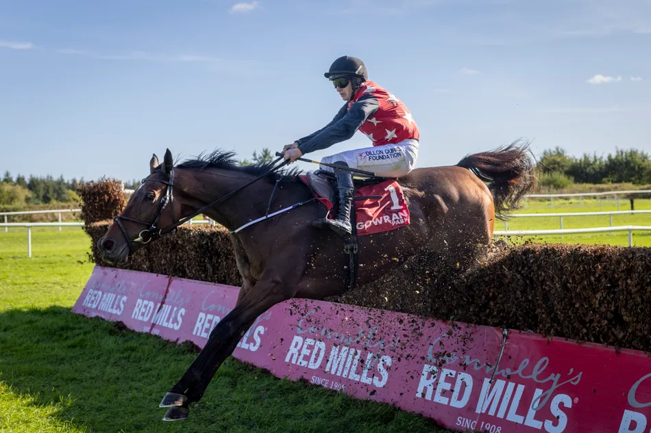 Fleur In The Park charges into the John Durkan and King George picture ...
