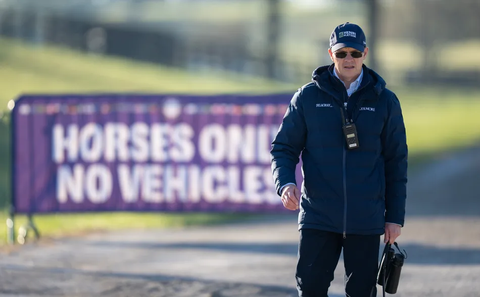 'We've tried to make him quicker and sharpen him up' – Aidan O'Brien confident Benvenuto Cellini will step up on Arc run in Breeders' Cup Turf
