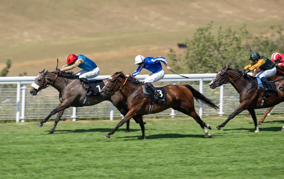 'A Group 1 winner would make it a pretty complete season' - Wathnan prepare strong York team after incredible Glorious Goodwood haul