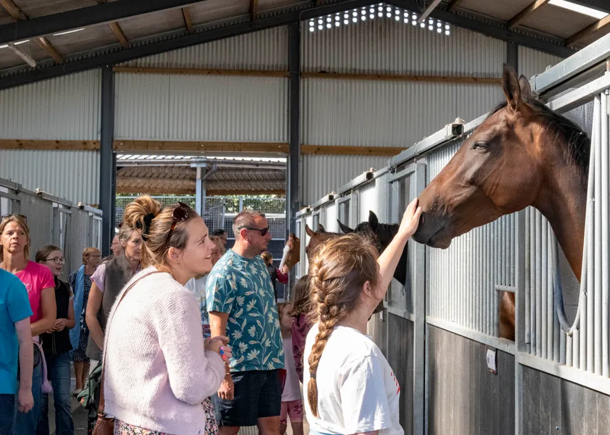 A record number of visitors, 150 horses and 25 stitches in Sean Bowen's mouth – inside Olly Murphy's National Racehorse Week open day