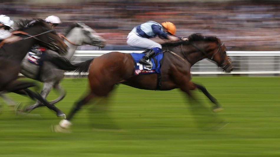 Eve Johnson Houghton yard left 'absolutely devastated' by death of Group 1 winner Accidental Agent at the age of 12