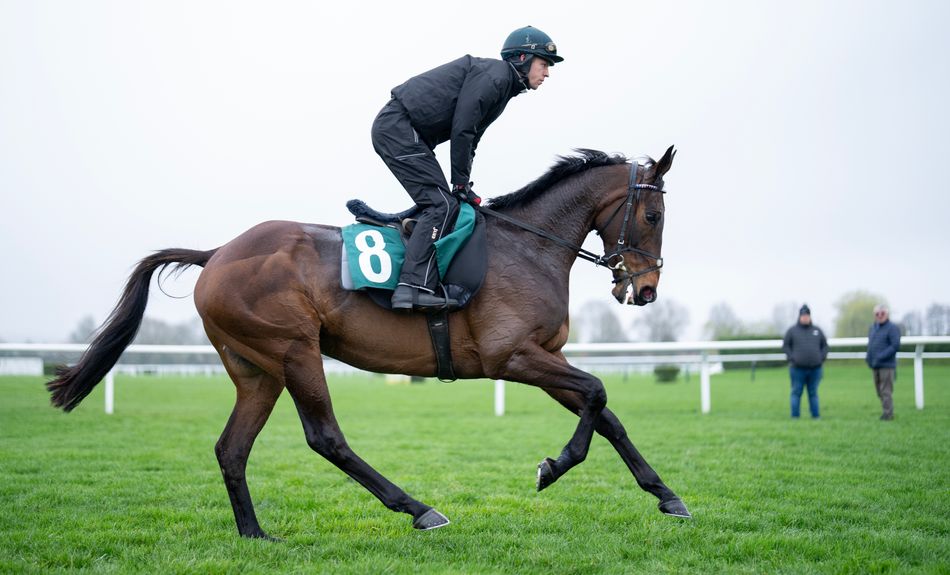 ‘I think he’ll win, I’m 100 per cent confident’ – Willie Mullins’ team is back at Cheltenham and primed to conquer