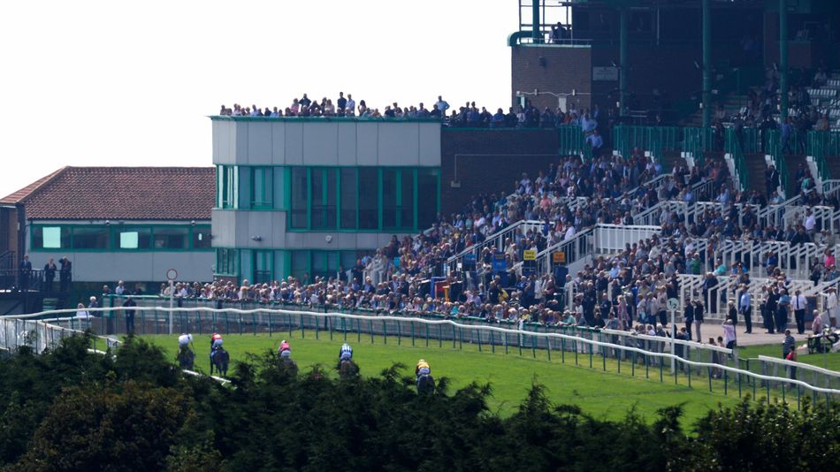 Jack Dace conscious and taken to hospital as his mount suffers fatal injury in mid-race melee