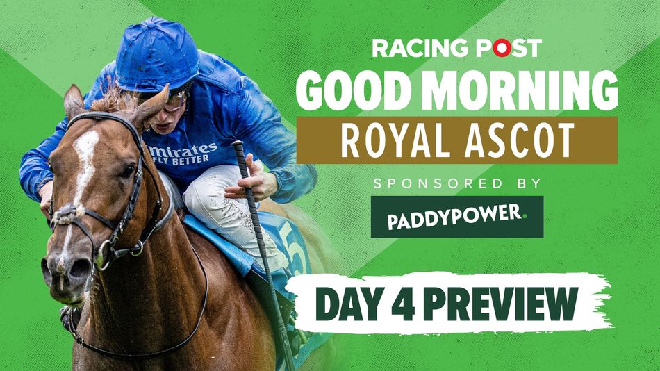 Watch: day four festival preview show live from Ascot | Racing Post