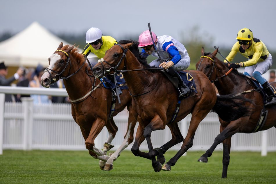 ‘I’d have had him in mind as a top-class hurdler’ - James Owen thinking Classics, not Cheltenham, for Royal Ascot third