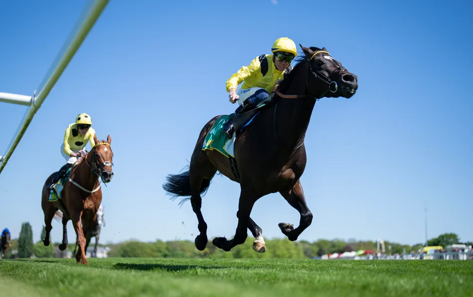 'I'm speechless!' - Jack Mitchell secures Group 1 breakthrough with Saddadd victorious in Germany