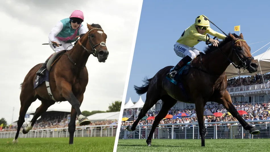 Why Bow Echo is more fun than Frankel