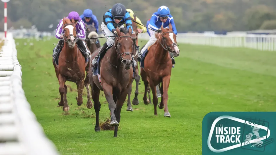 Should the Futurity go around a bend? Plus the Showcase meeting is a nice reminder there's simply no place like Cheltenham