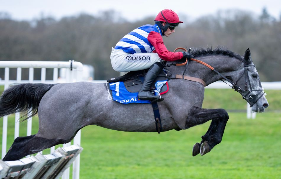 'I know I can get him better than he was today' - No Drama This End too ...