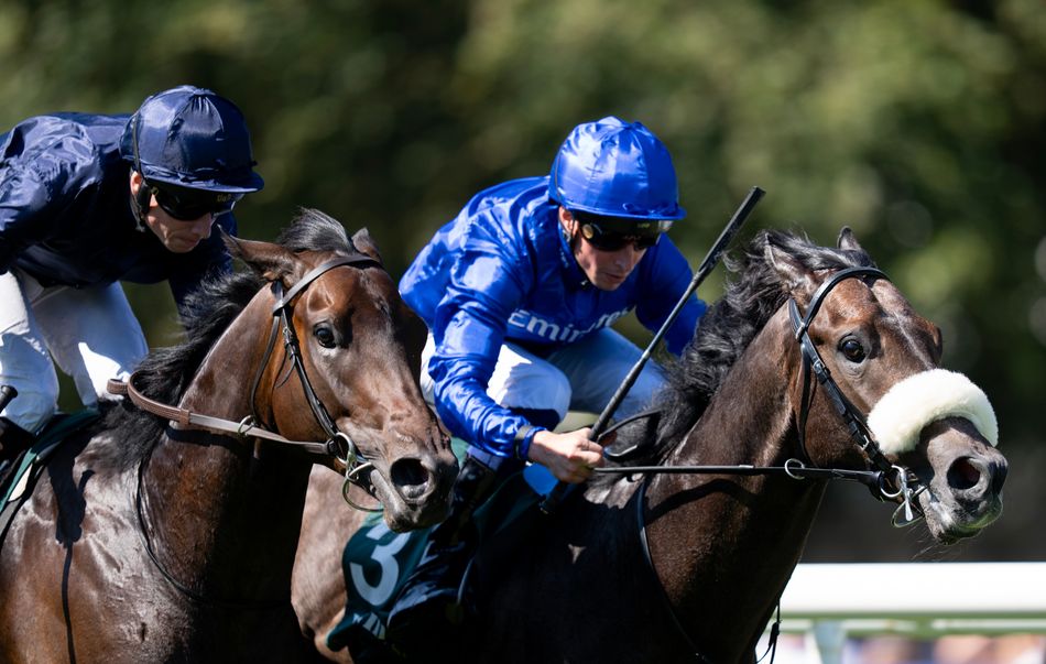 Why the Superlative one-two have equally bright futures for Flat racing's powerhouses