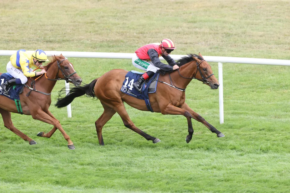 Small project takes a big step forward for Claire Noone with exciting maiden winner Maeda Matsu