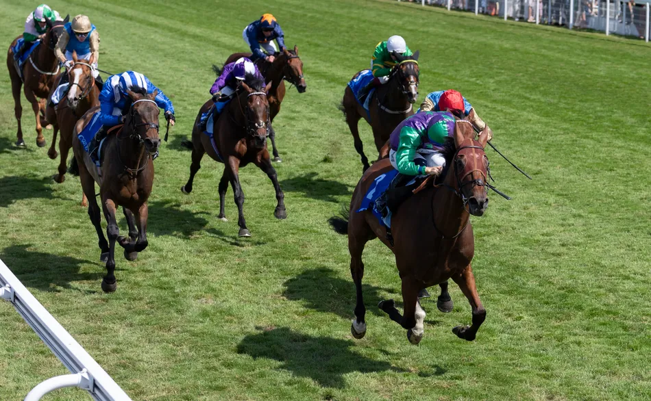 'He’ll go to the Melbourne Cup now' - British runner cut to 10-1 for Flemington after third in dramatic Caulfield Cup