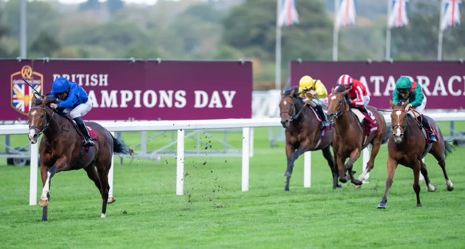 Champion Stakes scorer Ombudsman ruled out of Breeders' Cup - but Japan Cup swansong 'under consideration'