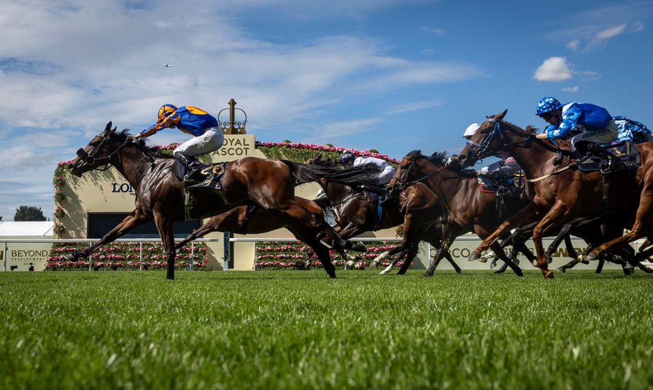 ‘If he was mine he'd go over for The Everest’ - O’Leary's Gigginstown reach the summit once again with Mission Central