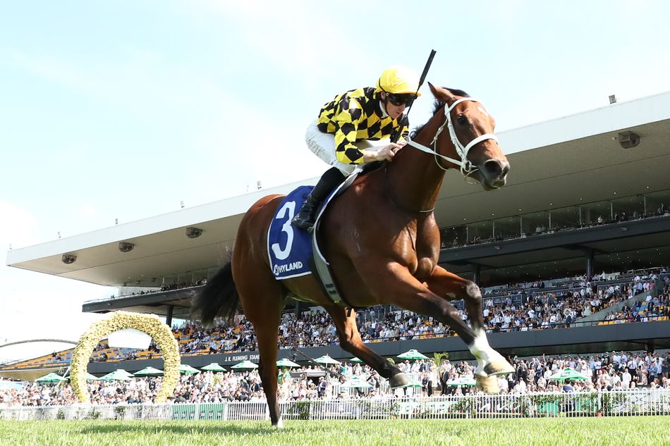 'It made me nervous all week' - rising star Autumn Glow shines in first Australian Group 1 of the season